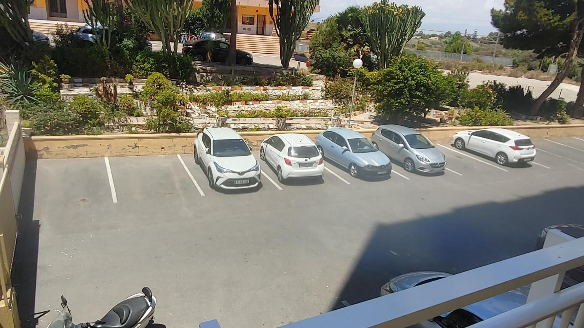 bellavista 4 frente a la playa Alicante Dış mekan fotoğraf